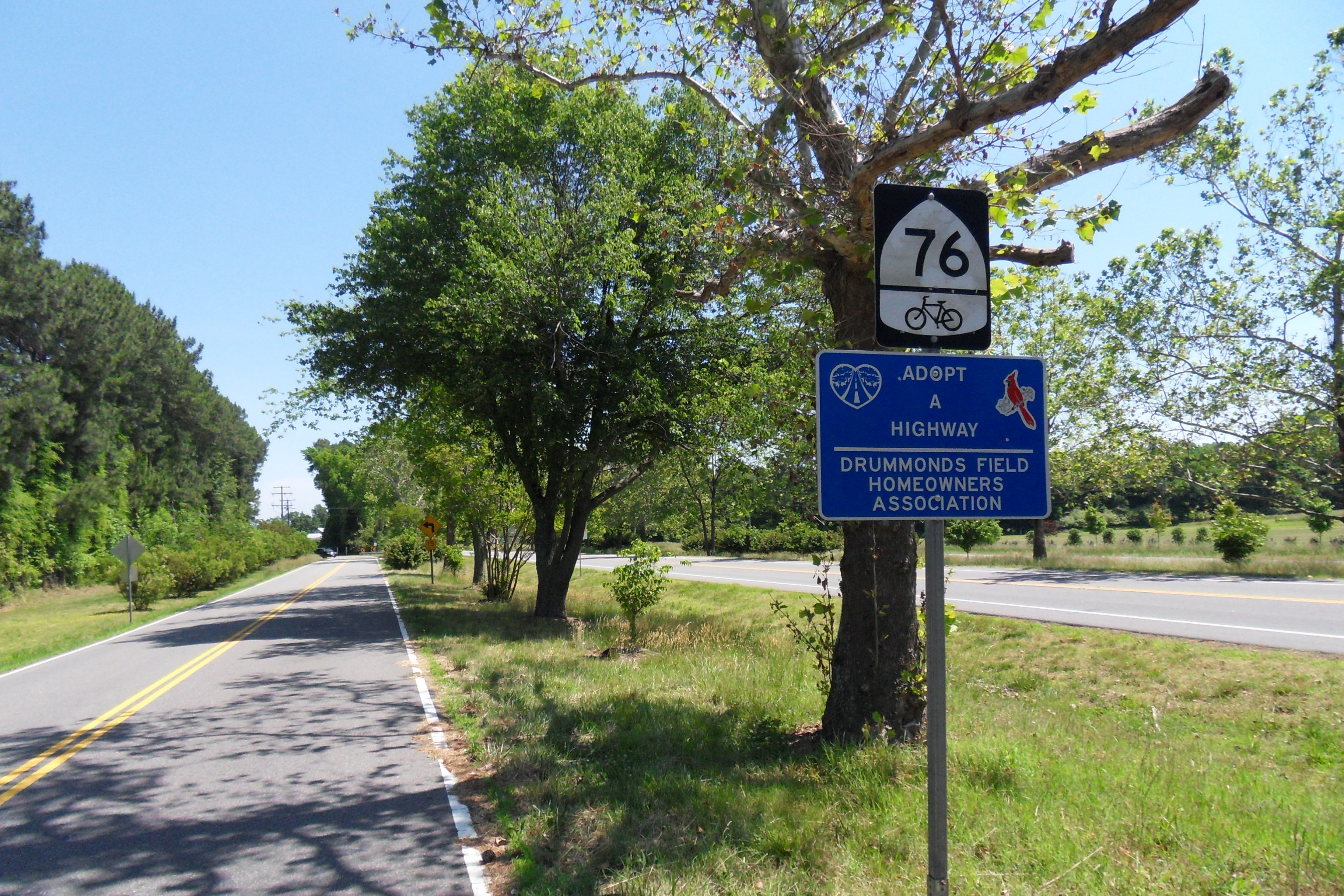 SDC10350