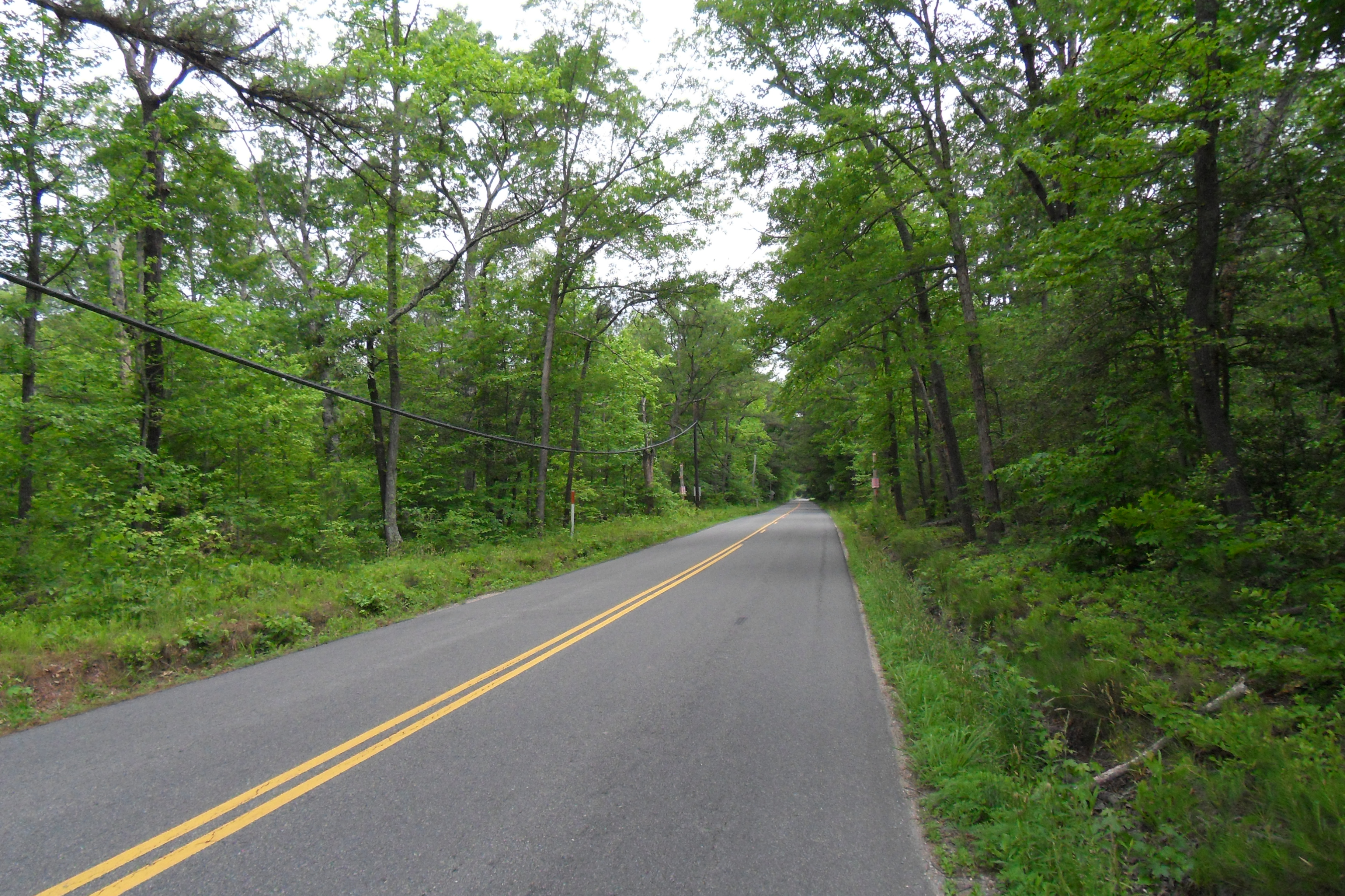SDC10392