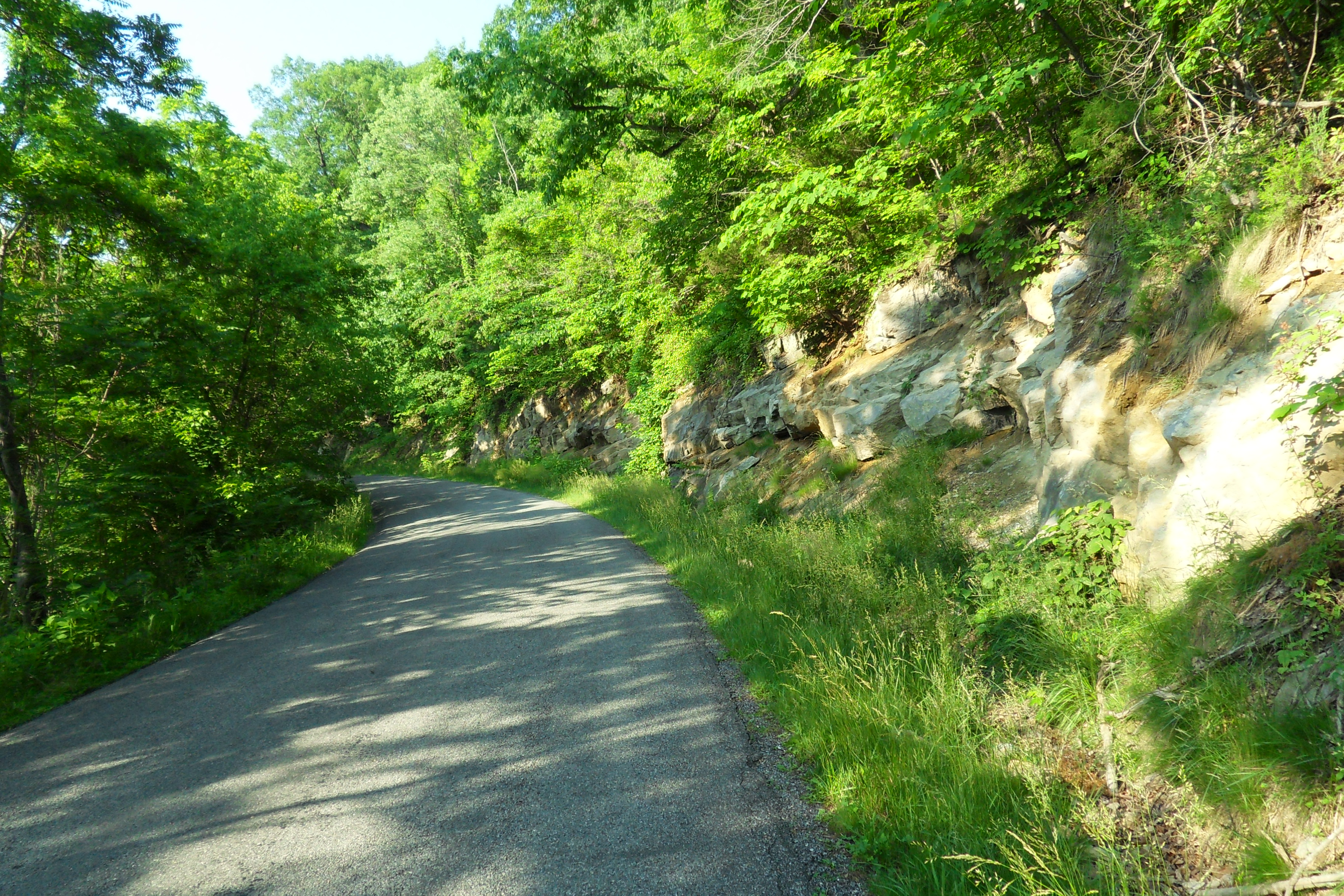 SDC10617