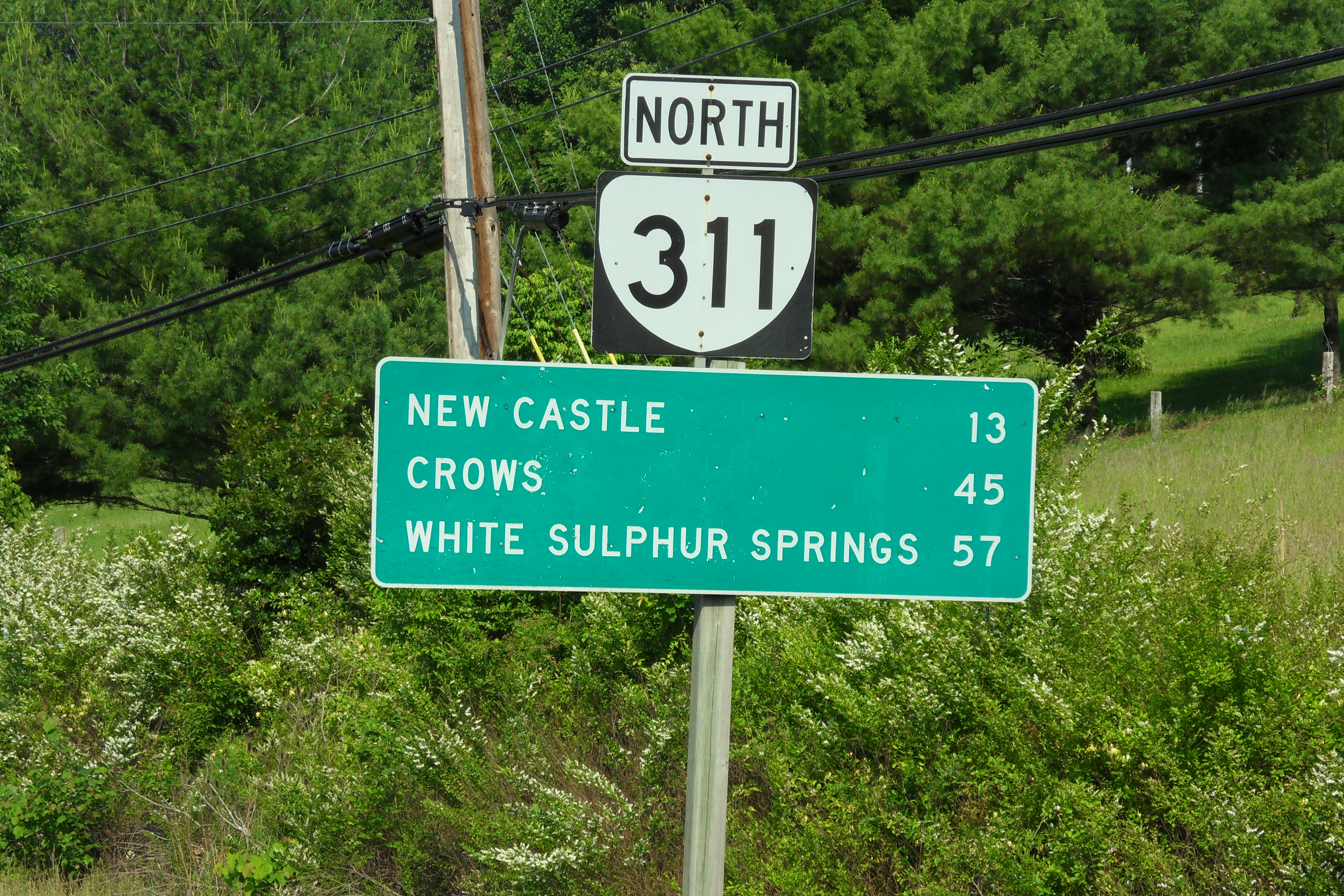 SDC10623