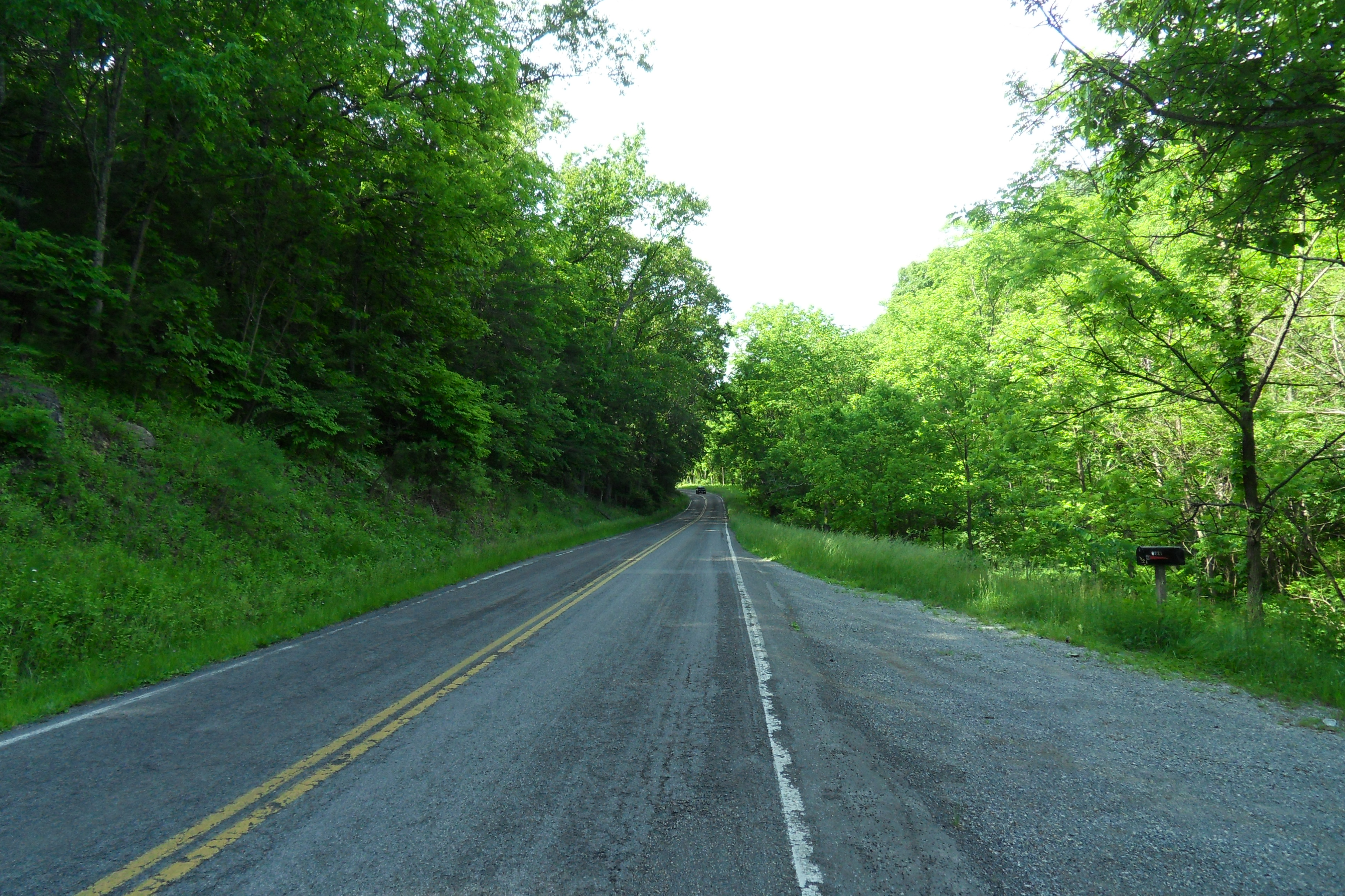 SDC10635
