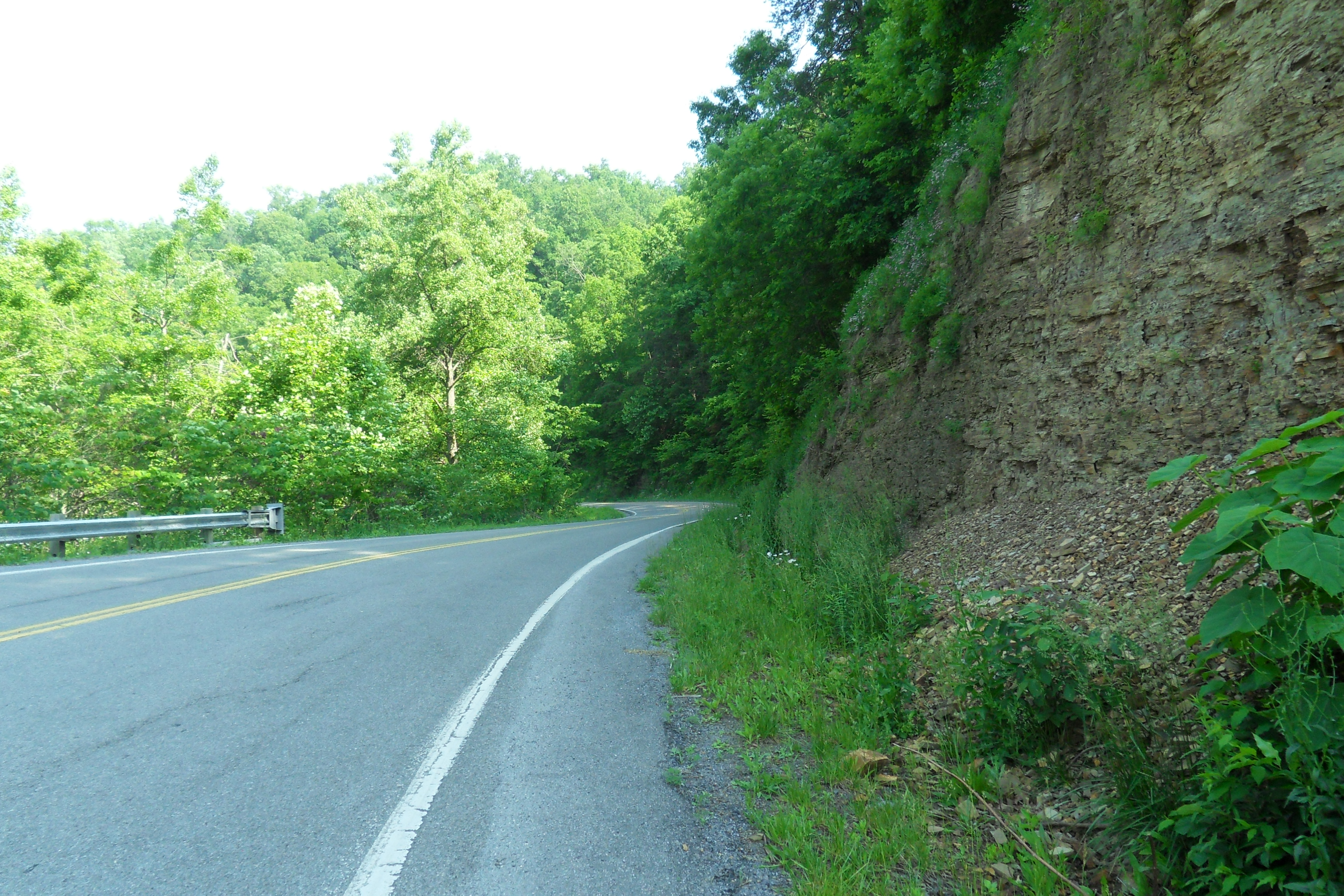 SDC10723