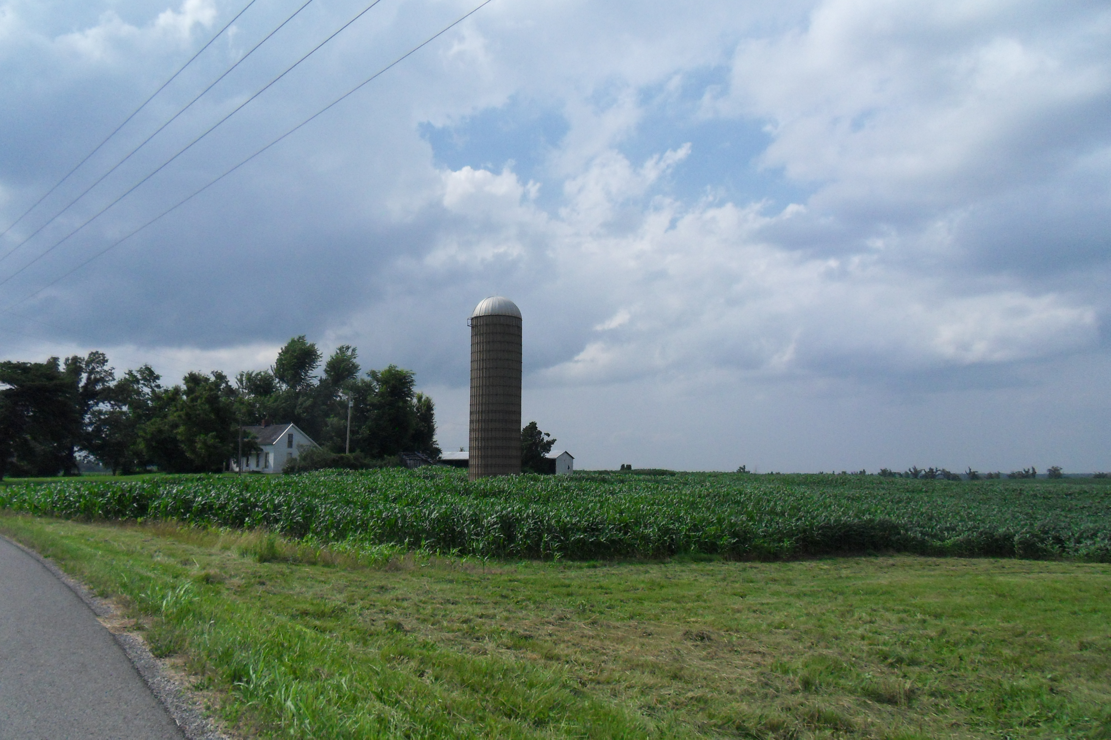 SDC10956