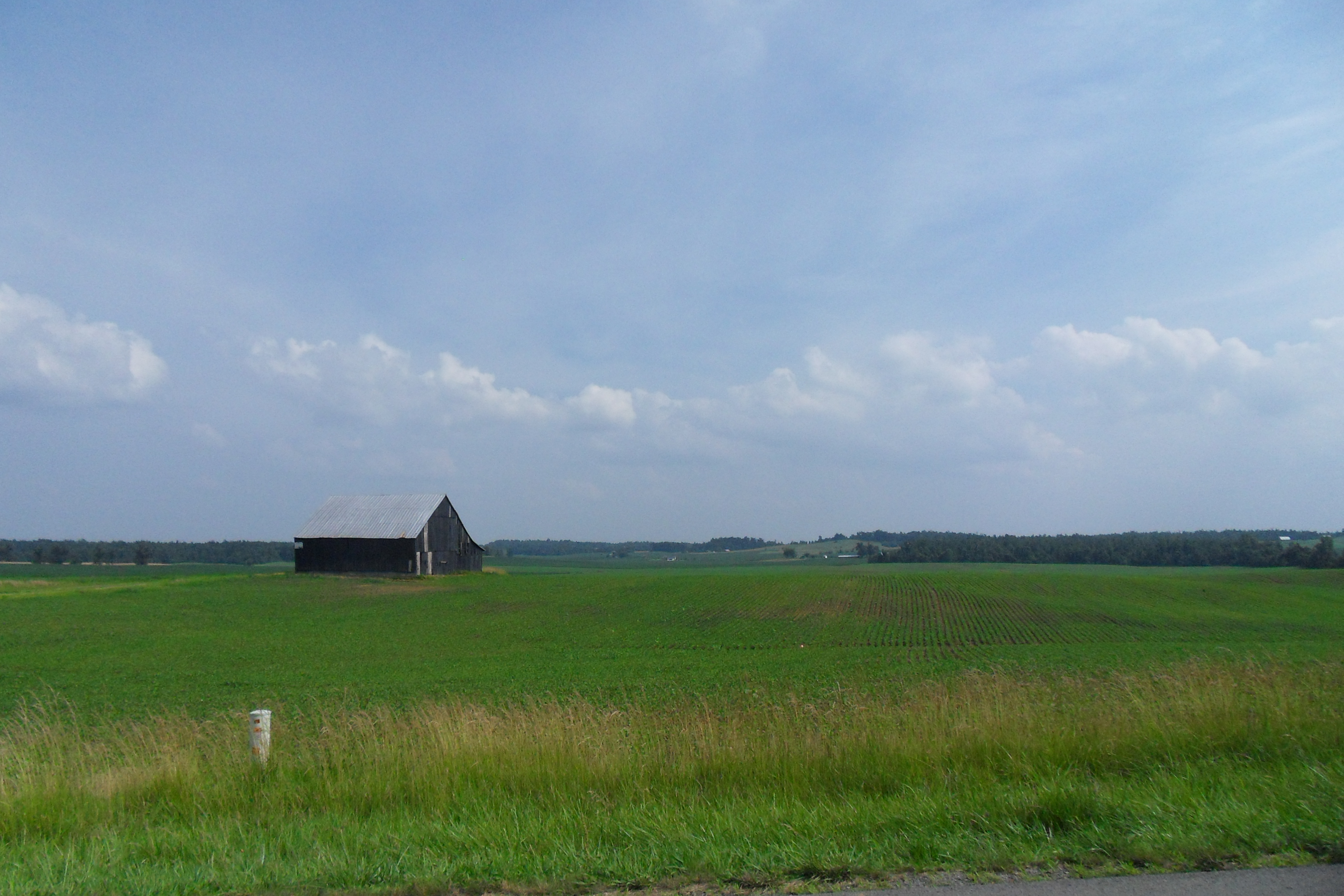 SDC10958