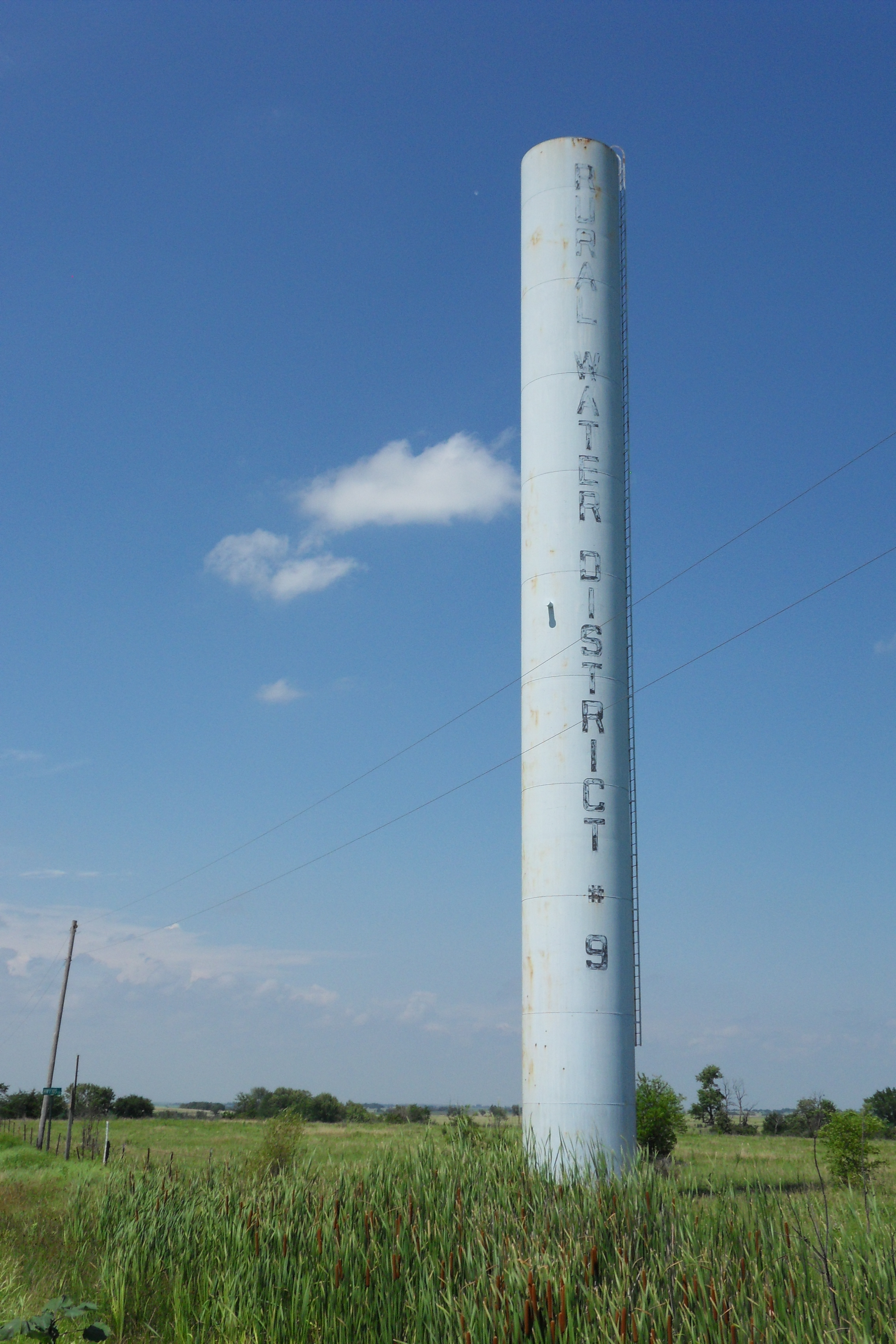 SDC11208