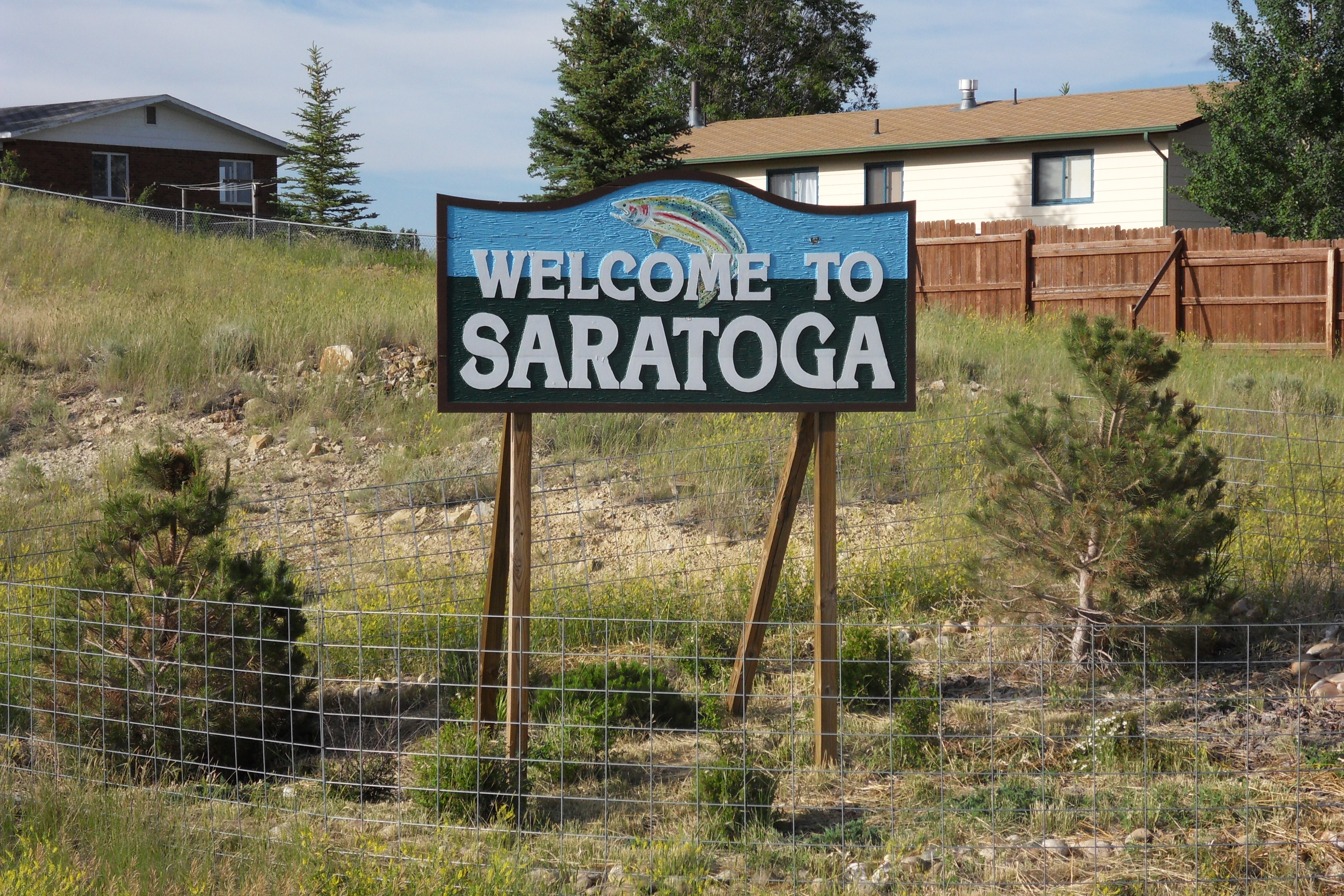 SDC12365