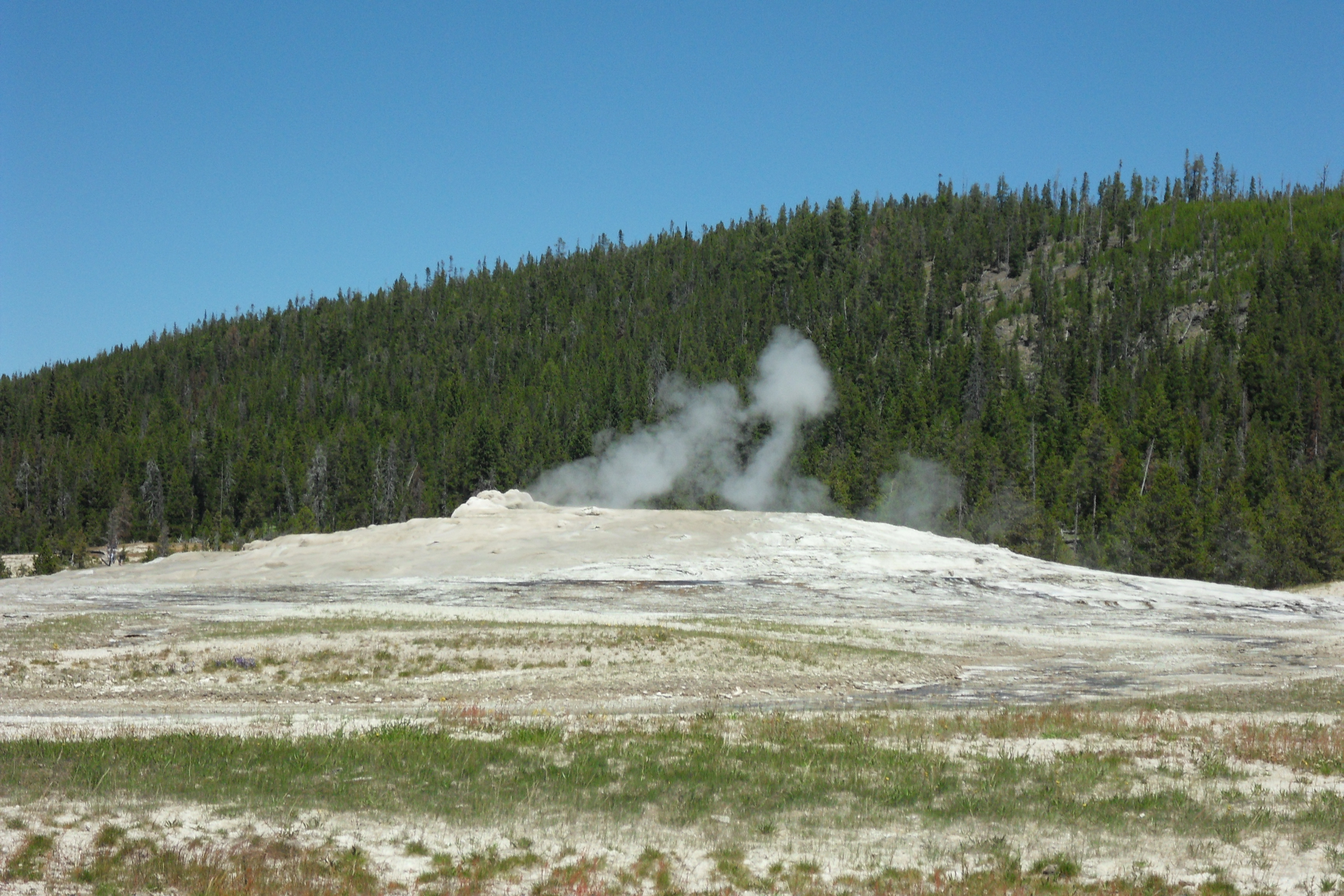 SDC12737