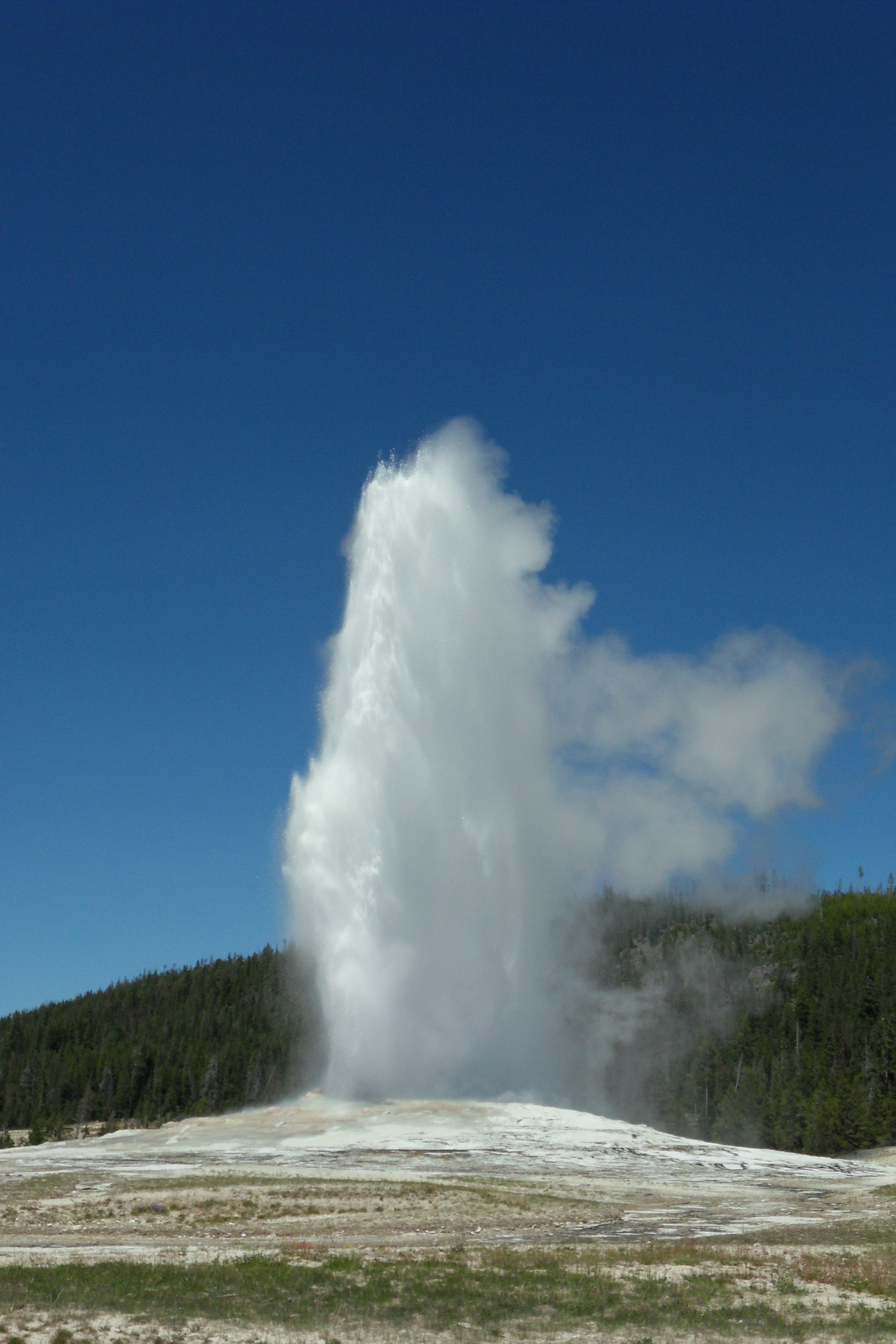 SDC12742