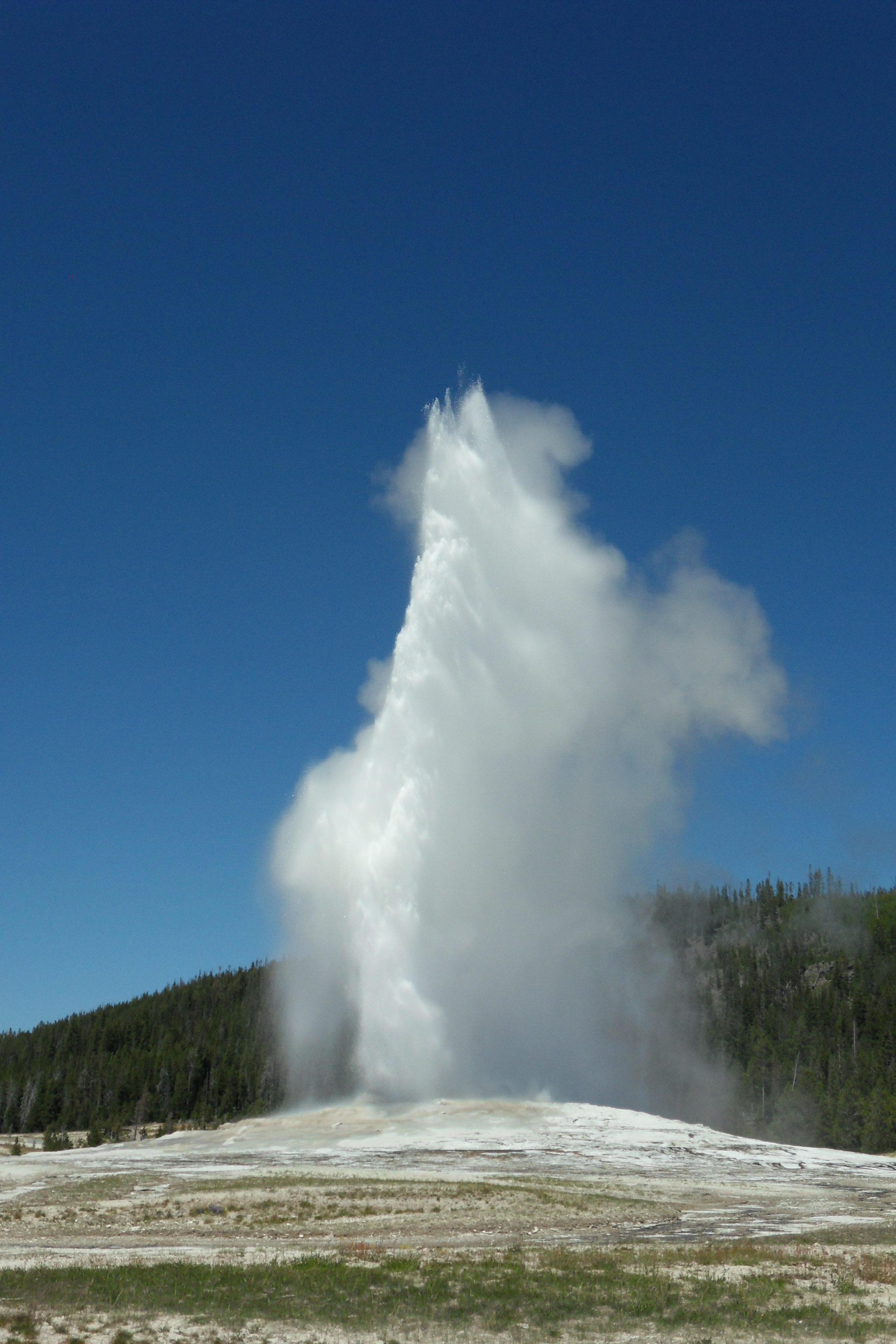 SDC12743
