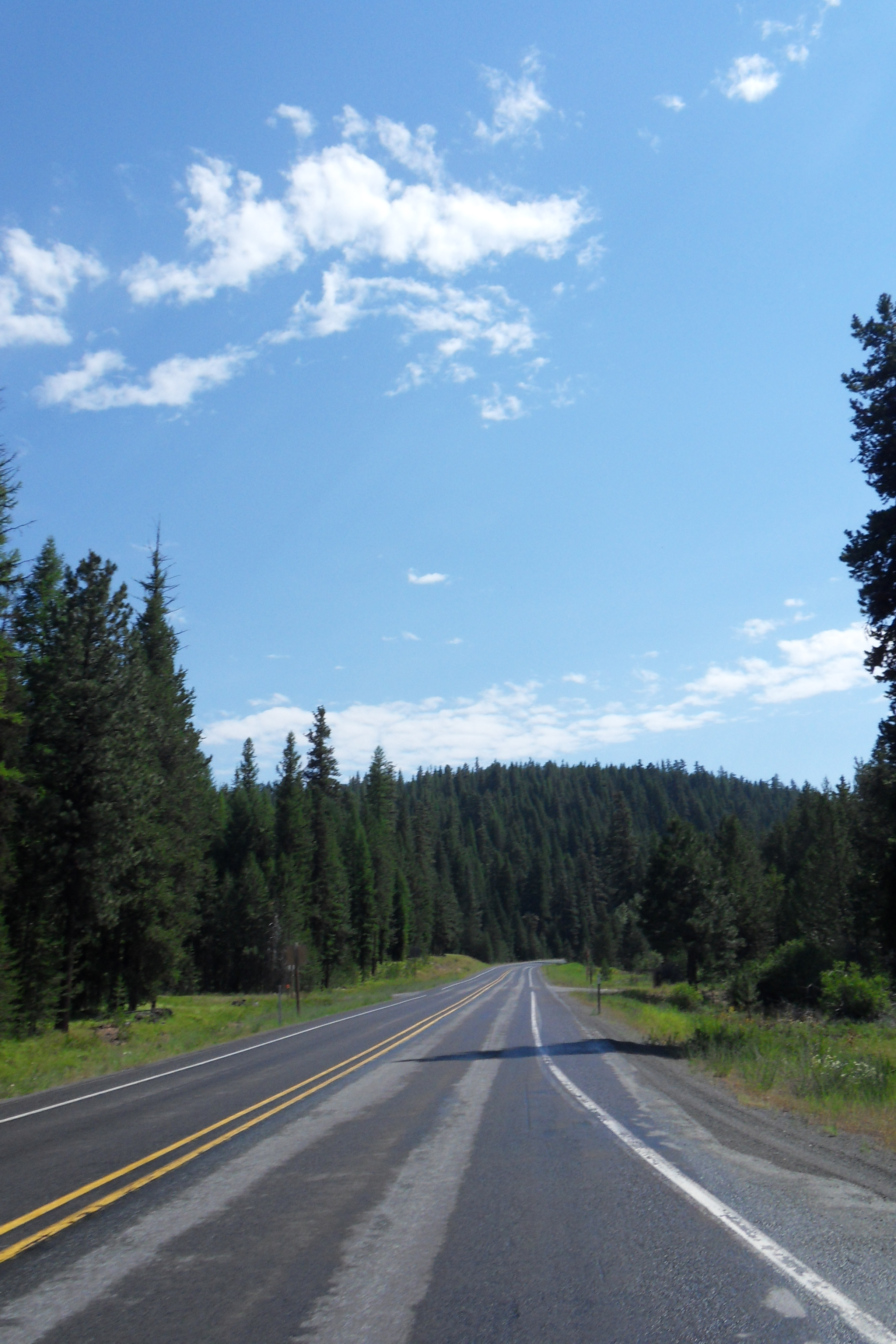 SDC13179