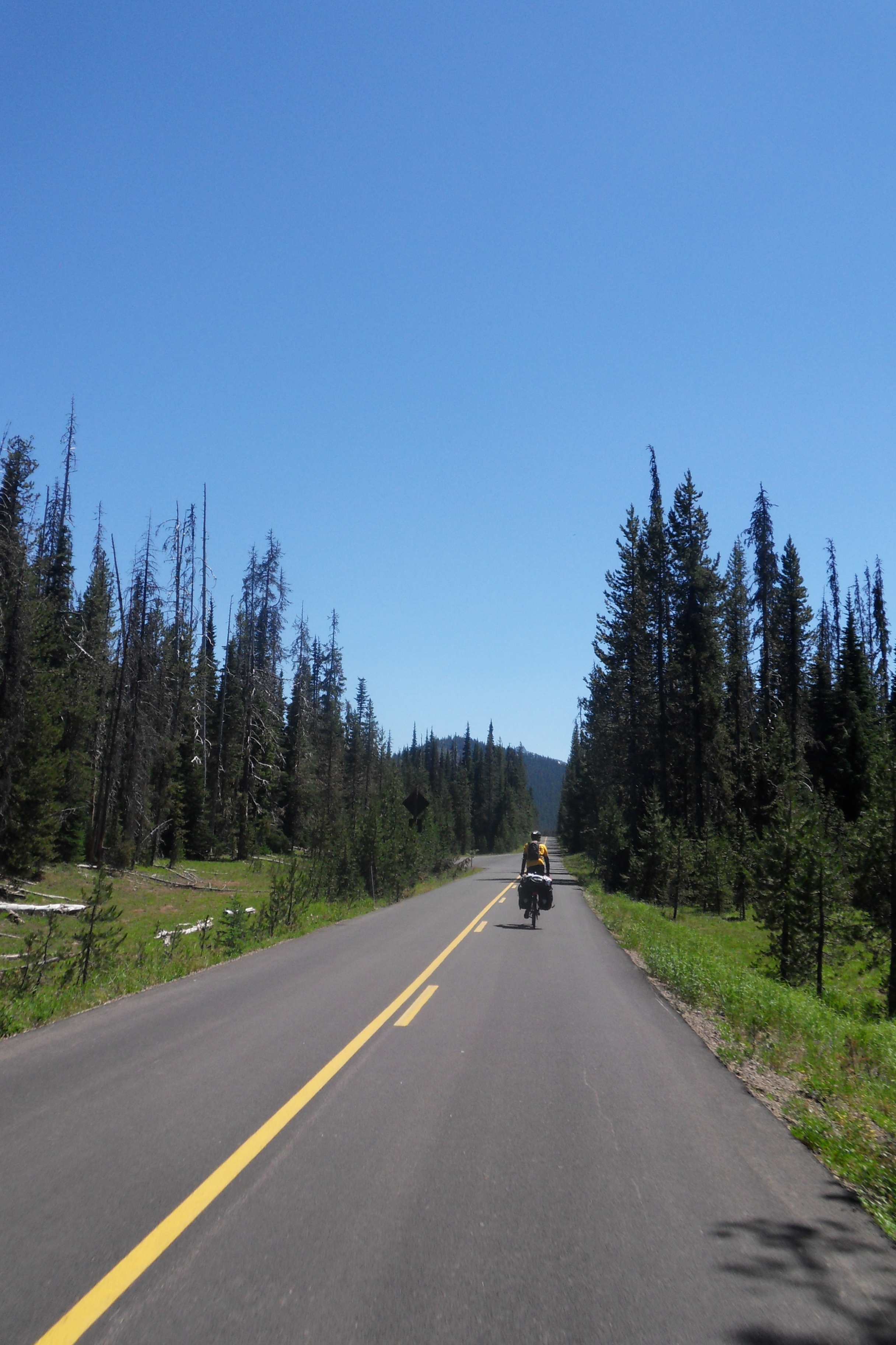 SDC13322