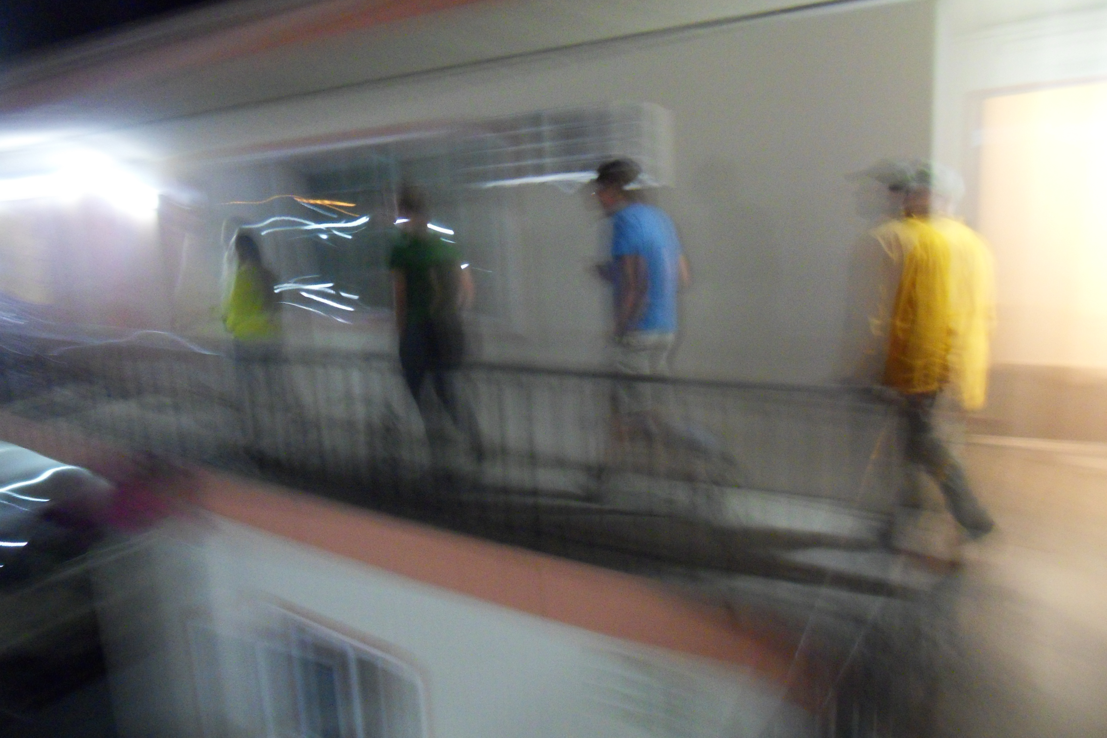 SDC13342