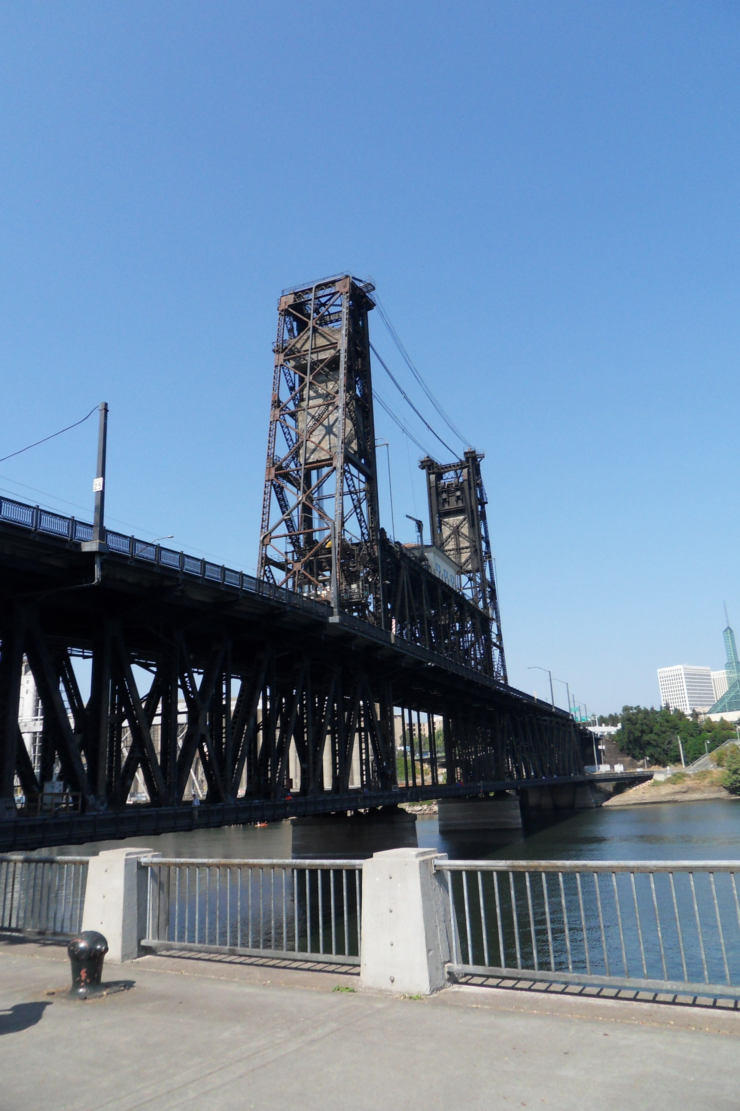 SDC13464