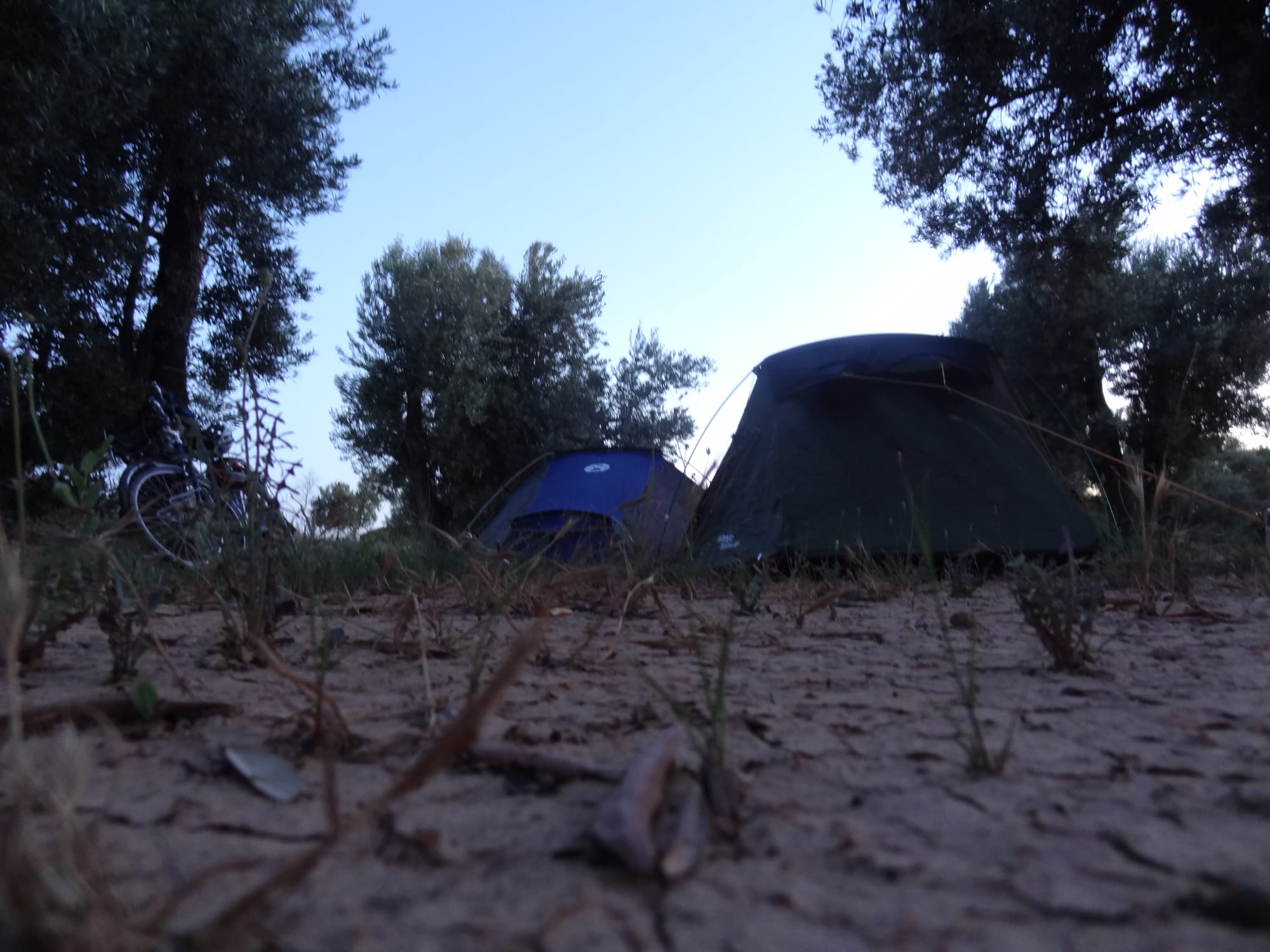 Wild camping