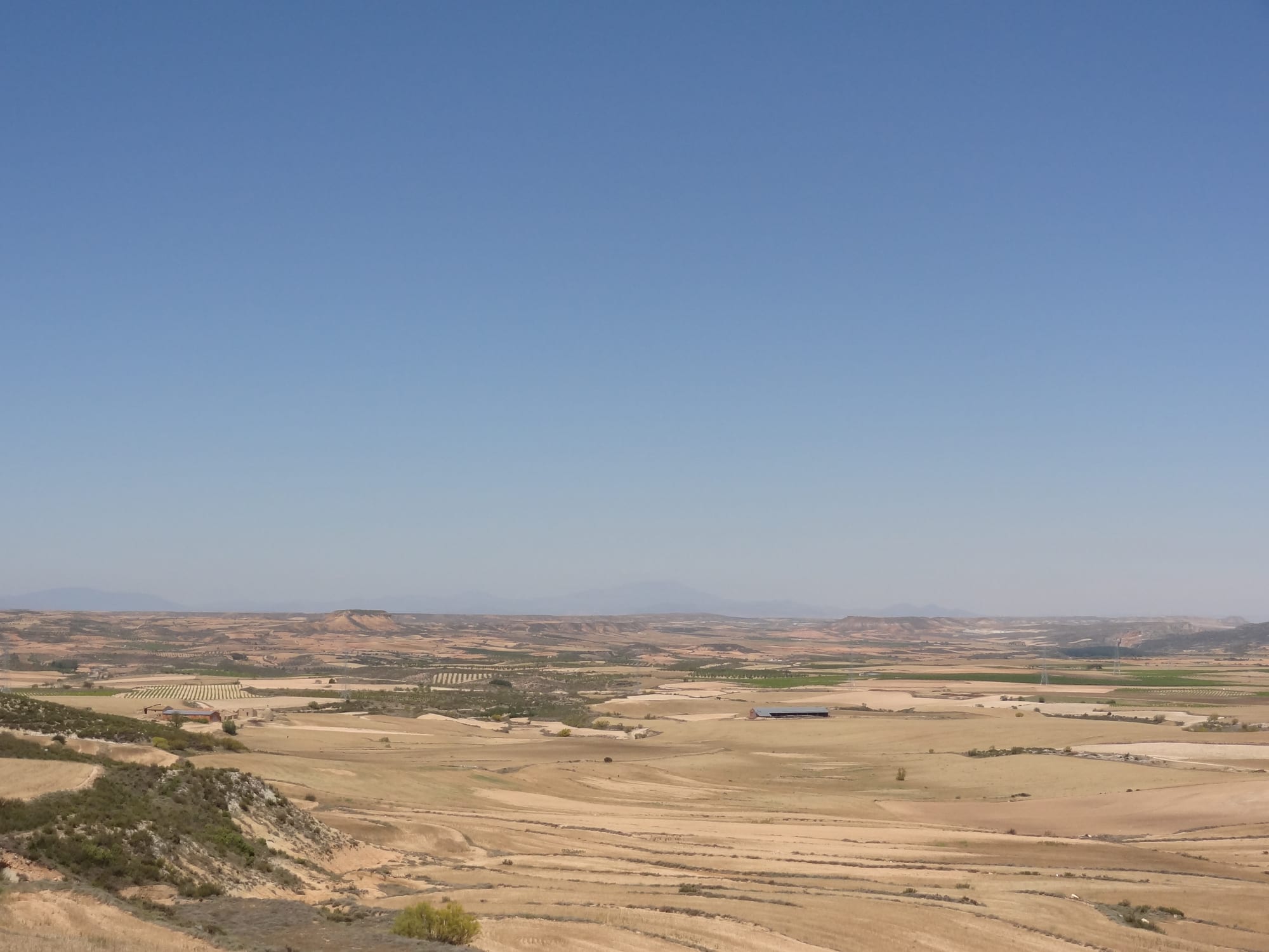 DSC00743