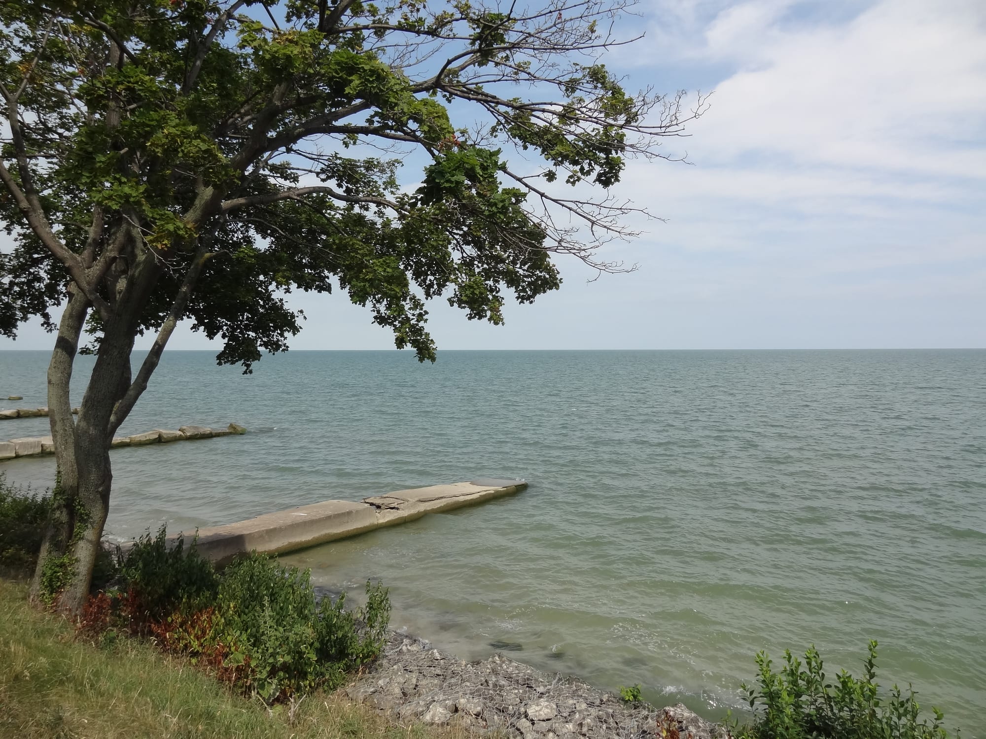 DSC01003