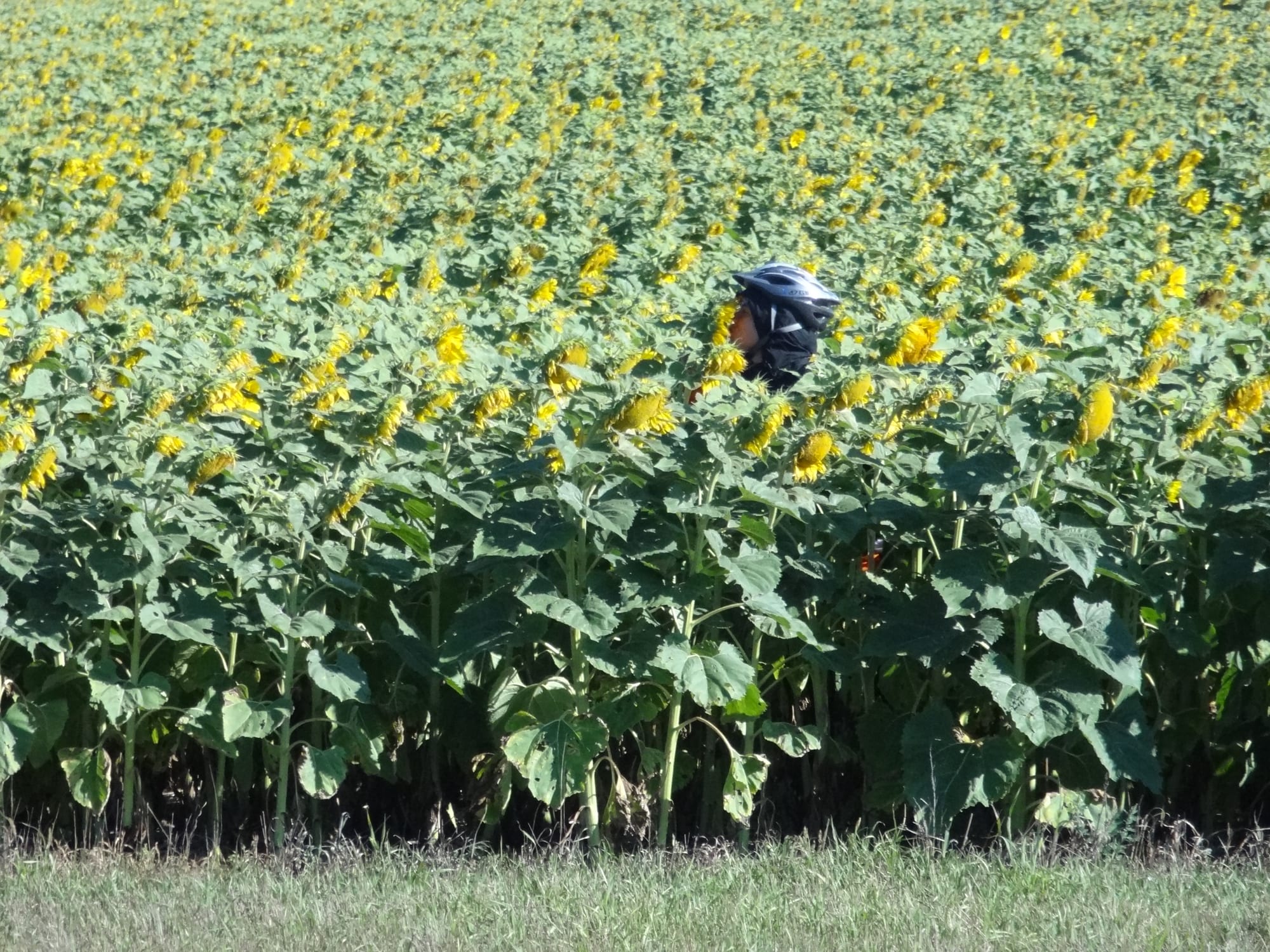 DSC01298