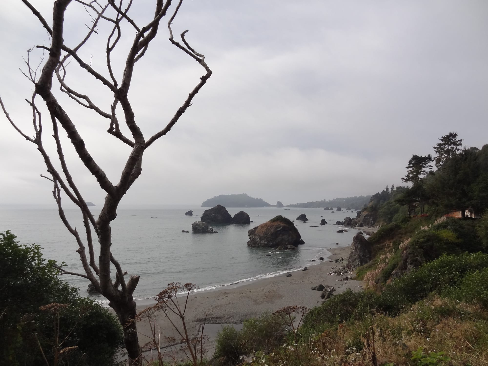 DSC02039