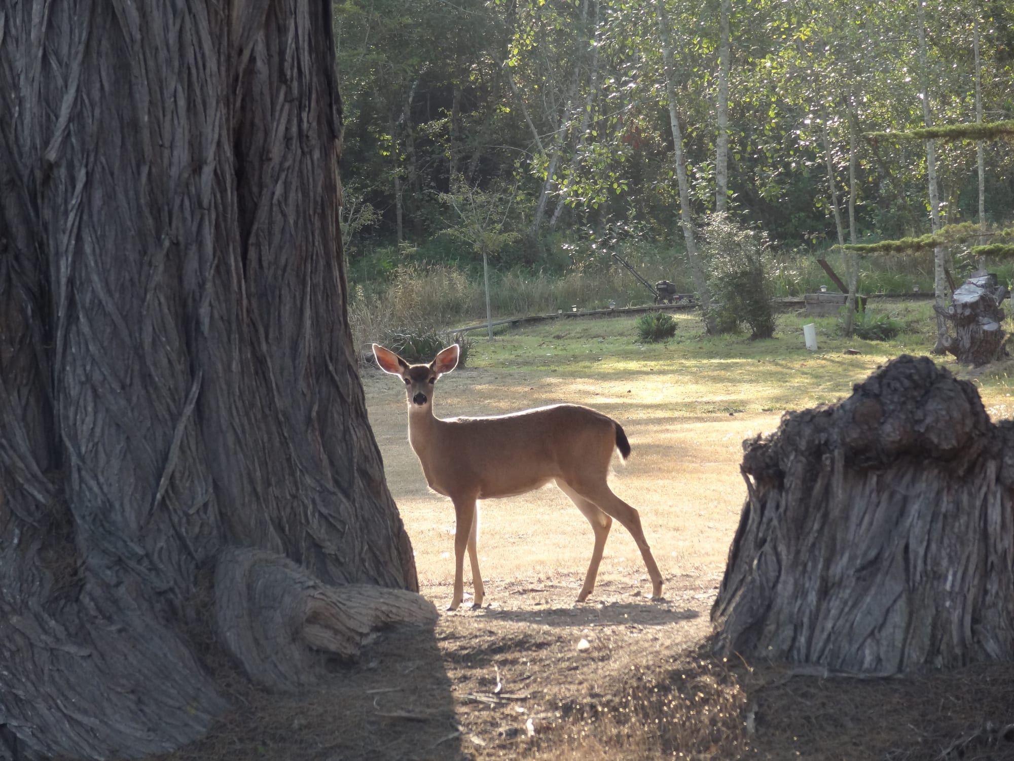 DSC02139