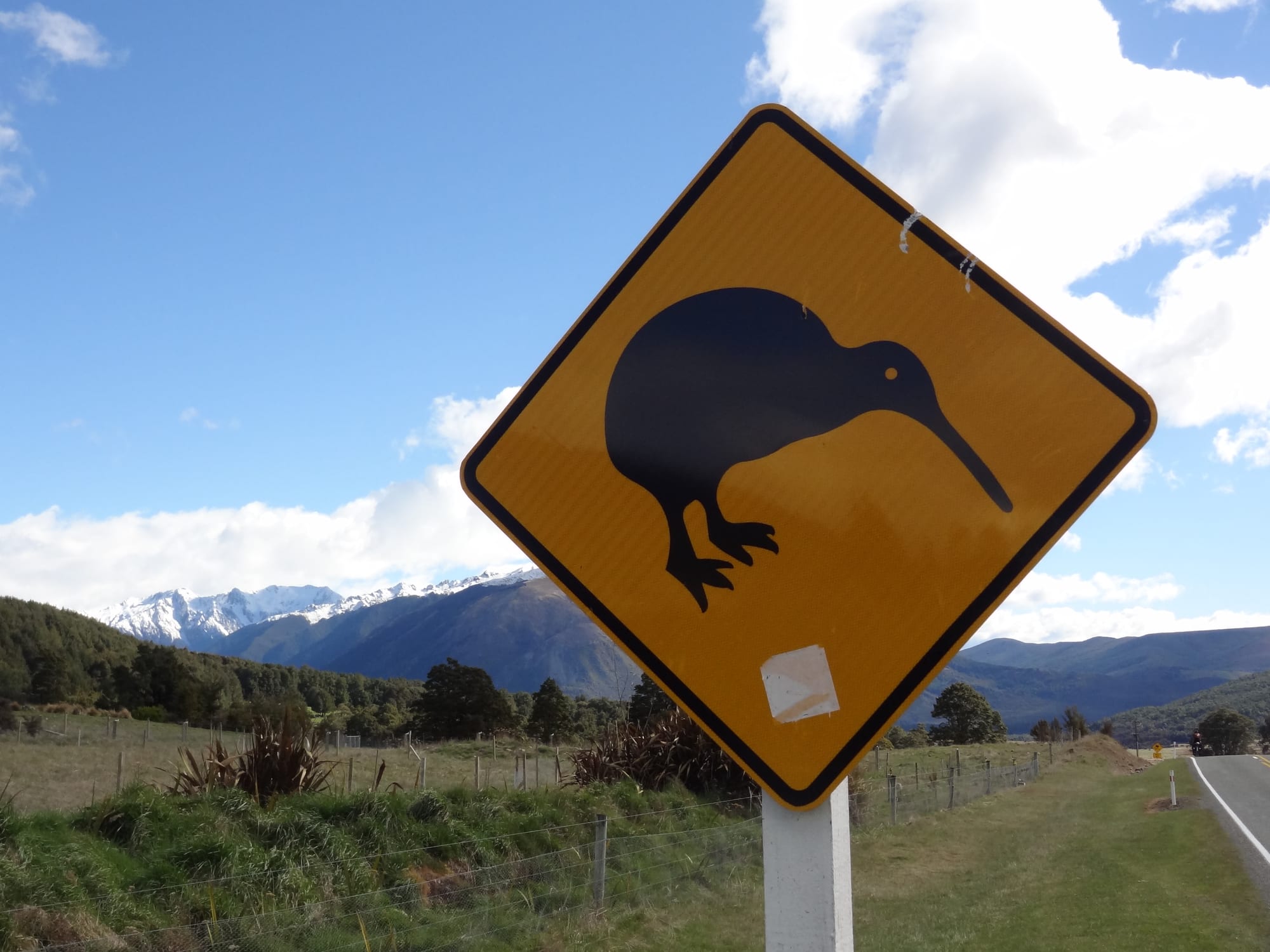 First Impressions Of South Island