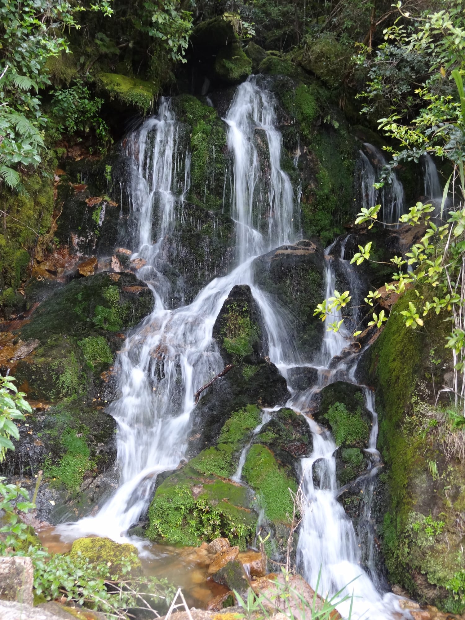 DSC02882
