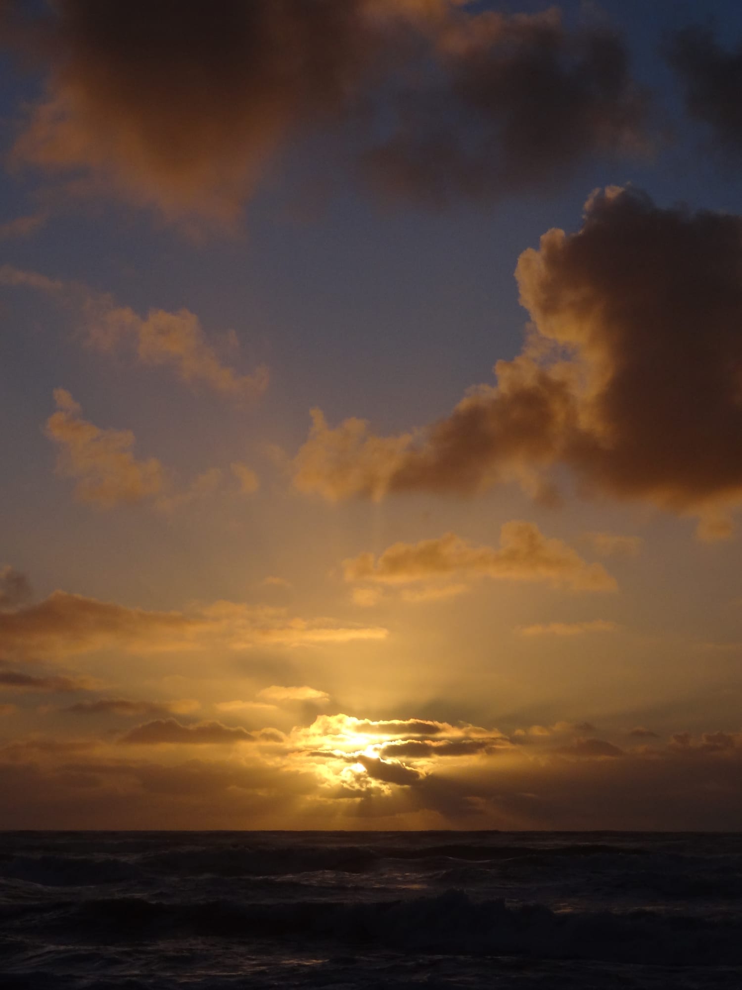 DSC02958