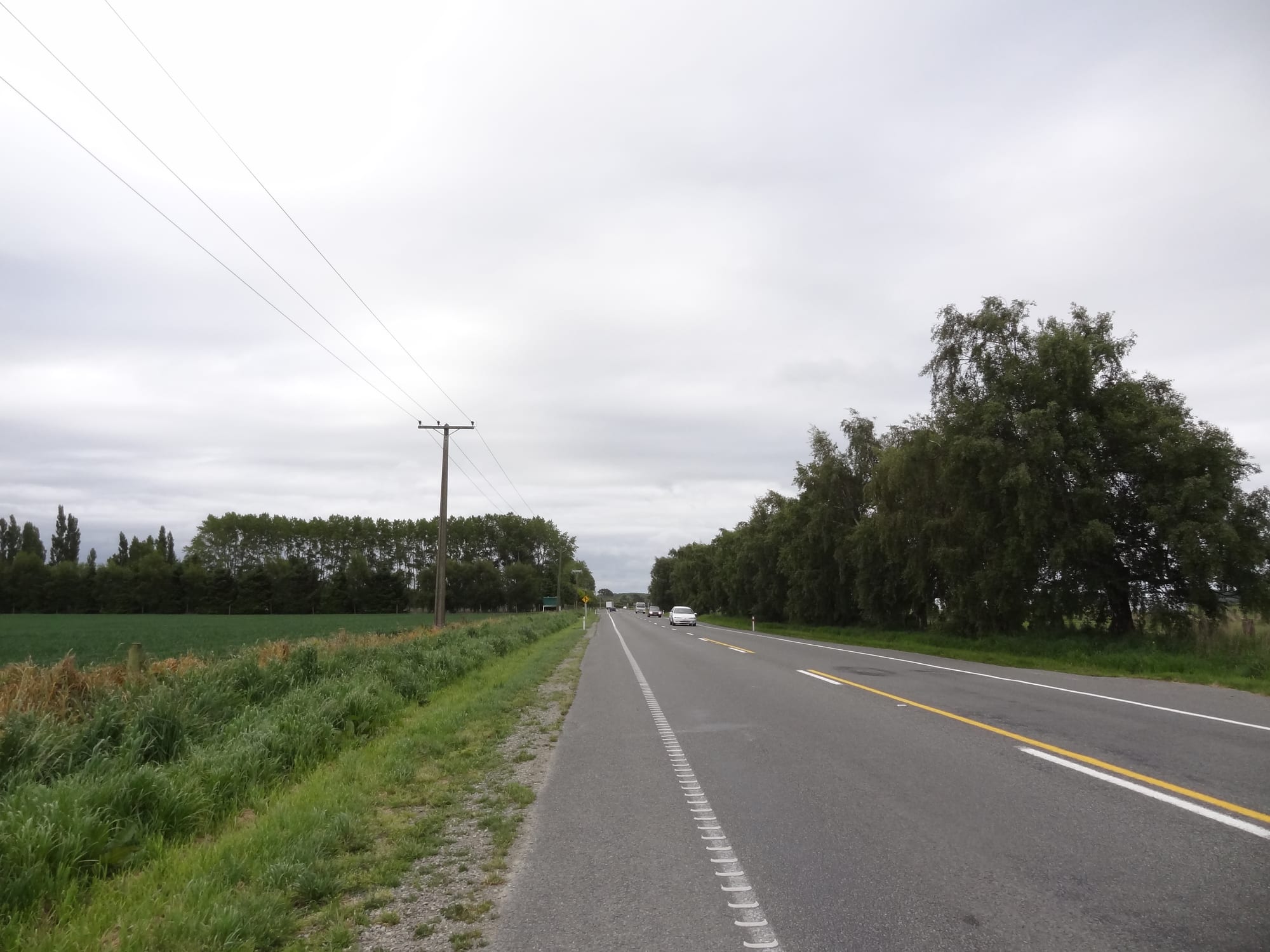 DSC03600