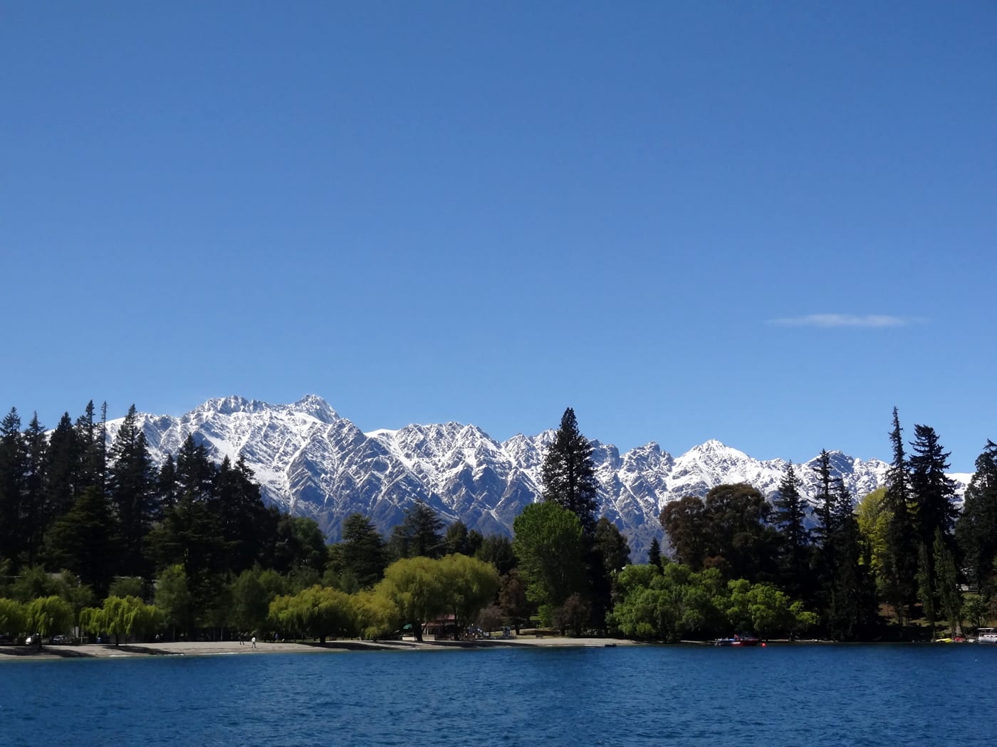 the remarkables