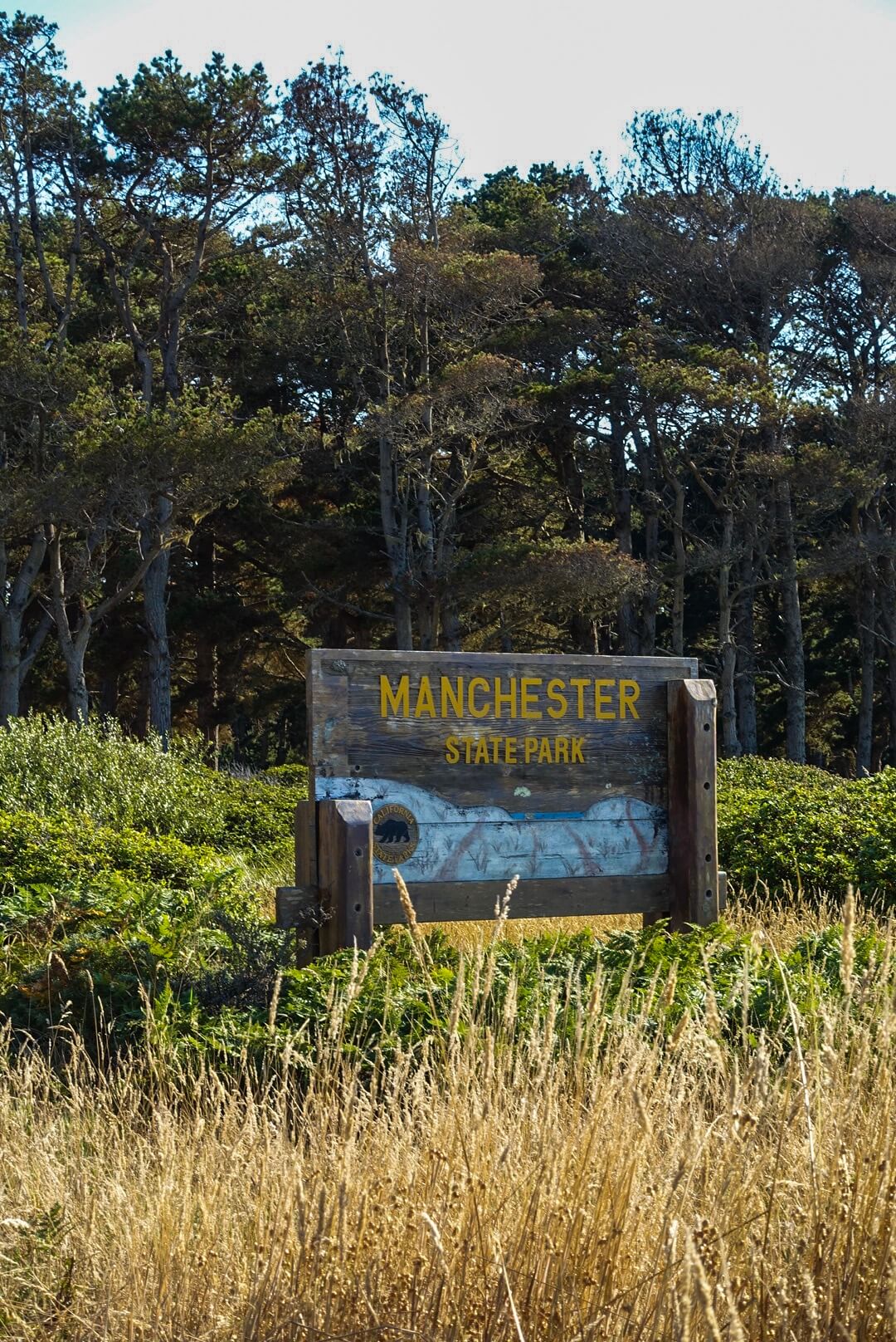 IMG_8489
